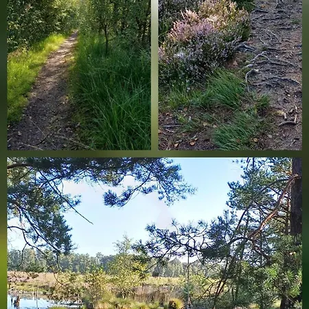Ruhland, *